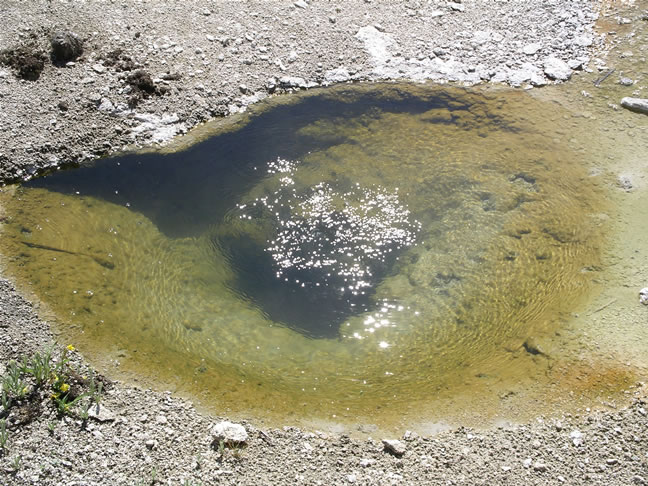 images/F- West Thumb Geyser Basin (8).jpg